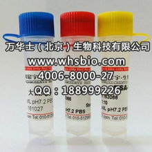 豚鼠igg凍干粉 從生物試劑到信息技術領域的創新應用