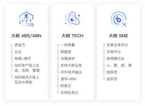 大樹金融完成Pre-A輪融資，以流程風控賦能中小企業，投后估值達20億元